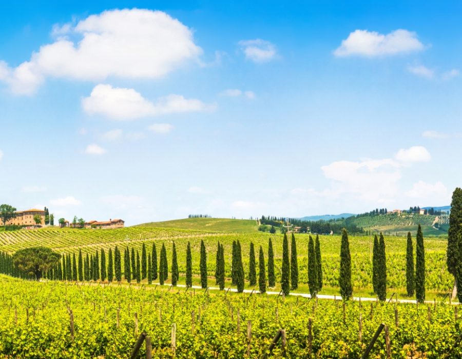 het landschap van toscane